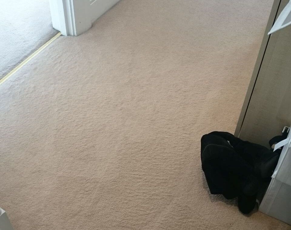 carpet cleaning services